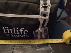 Fitlife Foods Insulated Cooler Tote Bag Black Specialty Foods Zips Fit Life Grea