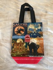 Salem Massachusetts Reusable Vinyl Shopping Brand New 9×12