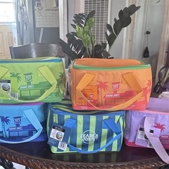 Trader Joe’s Lot of 5 Small Reusable Zipper Bags 10x10x6 Palm Tree Multi