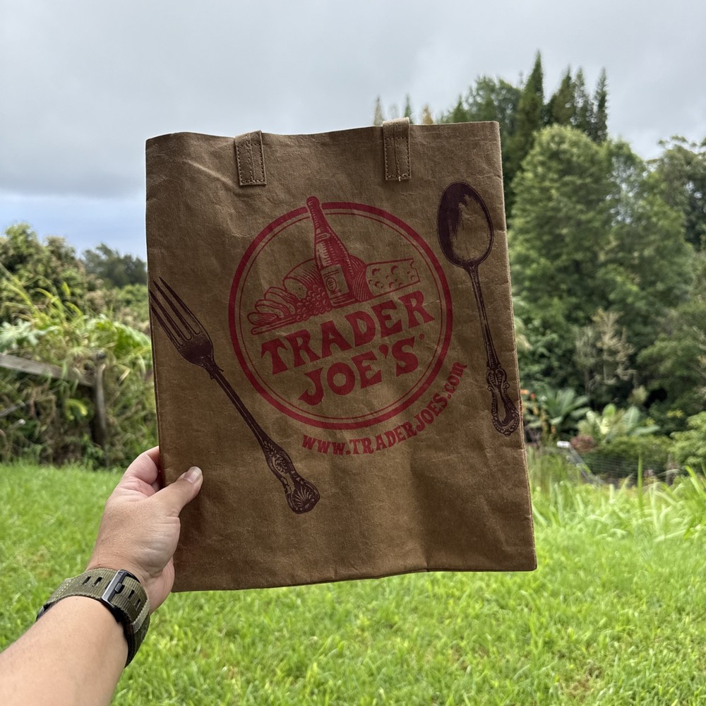 Trader Joe’s Washable Paper Reusable Shopping Bag Brown Medium Foldable Red