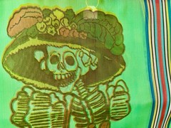 Catrina Lady Skull Mexican Nylon Mesh Tote Bag Day of the Dead Muertos NEW