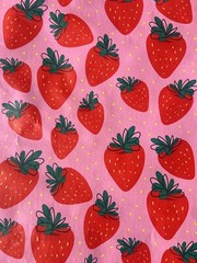 NEW Strawberries 🍓Shopping Bag Reusable Travel Tote TJ Maxx RED&PINK