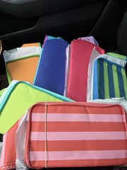 Trader Joe’s Mini Insulated Tote Bag 6 pack Bundle In Hand Ready To Ship