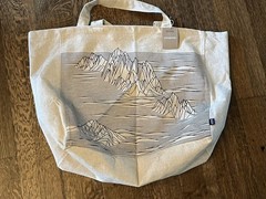 NWT Patagonia Tote Bag mountains Recycled Oversized tote Capacity strataspire