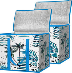 2Pk Insulated Reusable Grocery Bags, Collapsible Cooler Bag for Groceries, Heavy