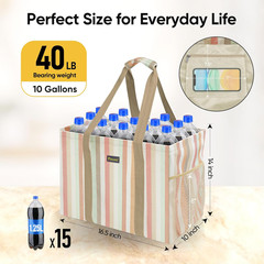 BALEINE Extra Large Utility Tote Bag with Reinforced Wire Frame, Reusable Grocer