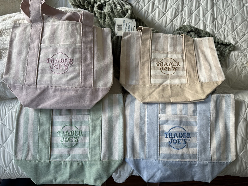 Trader Joe’s Limited Mini Canvas Striped Tote Bag In Blue 13x6x10