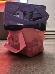 NEW Trader Joes Mini Insulated Bag Set of 2 Pink & Lavender Valentines Spring