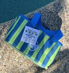 Trader Joe’s Insulated Neon Lime Striped MINI Tote Bag w/ Zipper Top & Handles