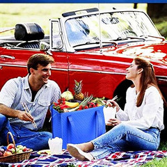2PCS Insulated Shopping Bag,Insulated Grocery Bag,Grocery Cooler bag