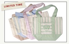 Trader Joe’s Limited Mini Canvas Striped Tote Bag In Blue 13x6x10