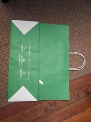AERIE American EAGLE Green AE Logo Paper Empty Shopping bag NEW!