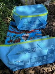 3 Trader Joe’s 2 Mini Tote & 1 Washington DC Shopping Bag TEAL BLUE GREEN NEW