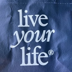 American Eagle Reusable Shopping Bag Dark Blue & White Polropylene Modern