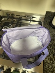 Trader Joes Mini Insulated Bag LAVENDER/PURPLE Limited Edition!