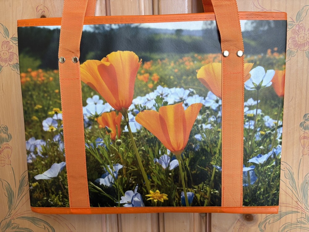 EARTHWISE Foldable Grocery Shopping Bag Reinforced Bottom California Poppy’s