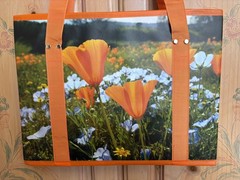 EARTHWISE Foldable Grocery Shopping Bag Reinforced Bottom California Poppy’s