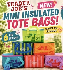 Trader Joe’s Mini Insulated Tote Bags, Pack of 6, Multicolor Striped 10x6x6