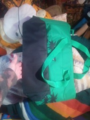 Trader Joe’s Green Edition Large Reusable Insulated Shopping Bag 8 Gallon