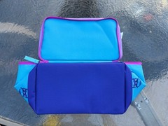Trader Joe’s Mini Insulated Bag set of 3