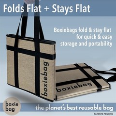Reusable Grocery Bag (Single) – Durable Reusable Shopping Bag Box. Insulate, S