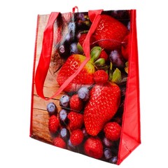 Mixed Lot of 5 Reusable Grocery Shopping Bags