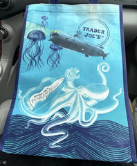 Trader Joe’s Reusable Tote Recycled Ocean Gift Tote Bag Fearless Flyer Fish