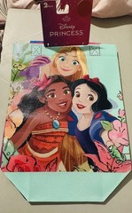 2 Pack Disney Princess 7x8x3.5 Inch Bags Kids Character Party W/Handles