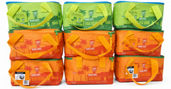 Trader Joe’s Summer 2026 MINI Insulated Bag Limited Edition – Green (Only)