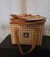 Aldi Insulated Collapsible Box Bag Tote Orange Gingham NEW