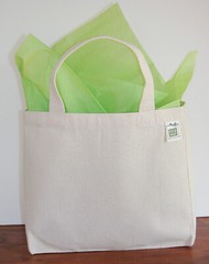 2 Pack, Small Recycled Cotton Canvas Tote Gift/Lunch Bags, 10″x9″x3.5″