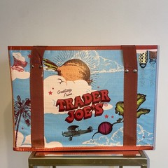 Trader Joe’s Insulated Grocery Bag Blue Sky Travel Design Reusable Tote 2025