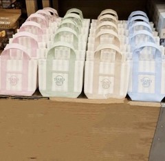 Trader Joe’s Mini Pastel Stripe Canvas Tote Bag Limited Edition Set Of 4