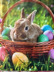Kohls Easter Bunny reusable shopping bag tote