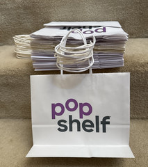 White Medium Paper Party Shopping Gift Bags with Handles 10x8x5 – Popshelf