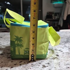 Trader Joe’s Mini Insulated Reusable Shopping Bag Green Yellow Blue 2026