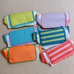 Trader Joe’s Mini Insulated Tote Bag Hip Pack Limited Edition Set of 6 Rainbow