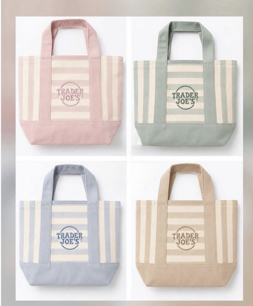 Trader Joe’s Canvas Striped Mini Tote Reusable Shopping Bag Small 15×8″