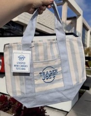 Trader Joe’s Striped Mini Canvas Tote Bag, Stripe Canvas, beige, blue, & green