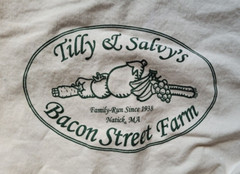 Tilly L Salvy’s Cotton Grocery Tote 16 X 15