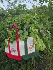 Trader Joe’s Mini Totes RED OR GREEN Available (See Pictures) Sold Out In Stores