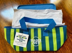 Trader Joes mini insulated bag blue and green stripes