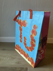 Trader Joe’s Florida Reusable State Bag NWT-6 Gal