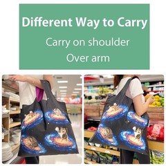 Allybag Foldable & Lightweight Reusable Grocery Bag, 3 Pack, Leopard and Porc…