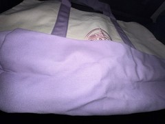 Trader Joe’s Foldable Canvas Reusable Tote Bag Purple Beige Solid Plain