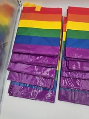 Ikea 10 PC Large Rainbow Pride Reusable Bags STORSTOMMA