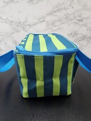 Trader Joe’s Mini Insulated Cooler Tote Bag Summer 2026 Stripe Blue Green