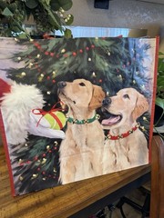 NEW CHRISTMAS Tote Bag 20″ X 18″ X 8″ SANTA TENNIS BALL to GOLDEN RETRIEVERS