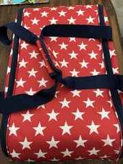 california innovations insulated tote