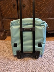 Whole Foods Market Rolling Cooler Grocery Trolley Mint Green Cart Wheels Handle